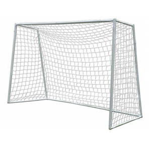  Goal 302