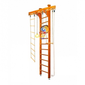   Wooden Ladder Ceiling Basketball Shield 3 