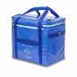 Сумка-холодильник для анализов Elite Bags Cool's EB04.003