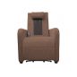      Fujimo Lift Chair F3005 FLFL