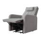     Fujimo Lift Chair F3005 FLWK