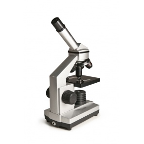  Junior 40x-1024x  